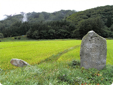 遠野の地、特有の気候で育つ甘味の強い野菜たち