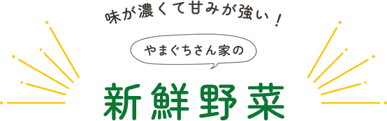 味が濃くて甘みが強い！やまぐちさん家の新鮮野菜